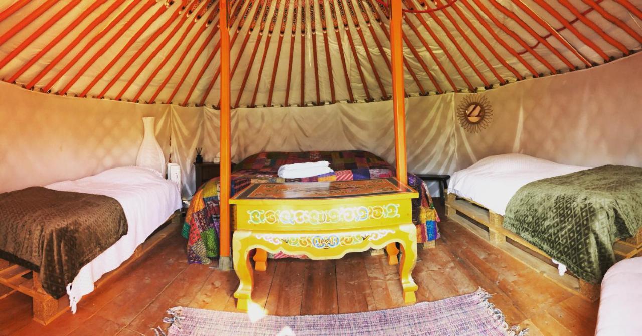 Les Colombines Bed & Breakfast Hombleux Dış mekan fotoğraf